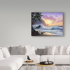 Trademark Fine Art Anthony Casay 'Sunset Beach 1' Canvas Art, 35x47 ALI20254-C3547GG